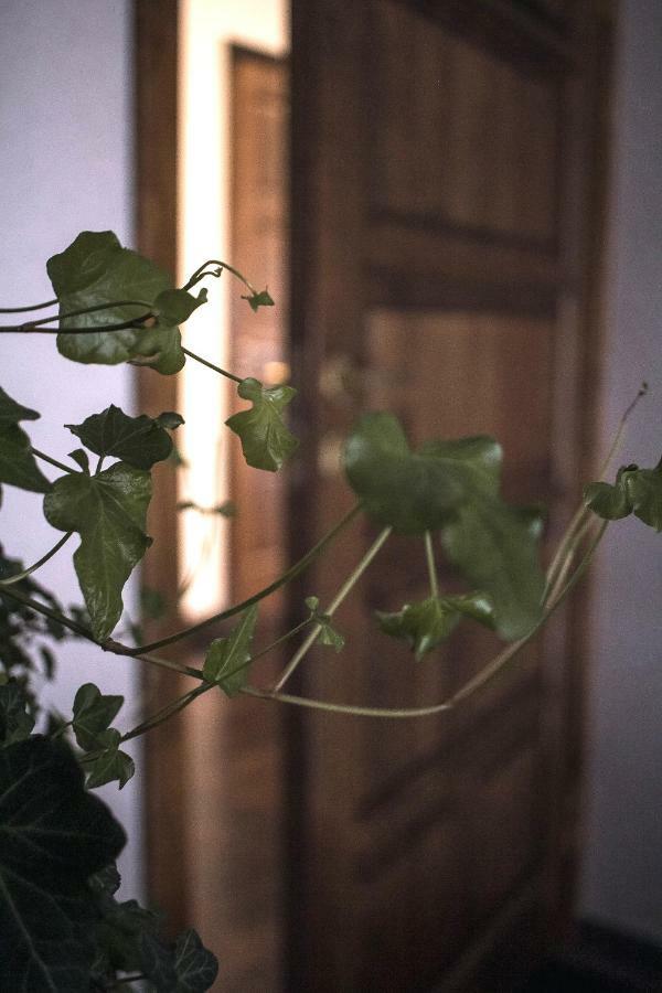 Ventspils Centra Apartamenti Kültér fotó